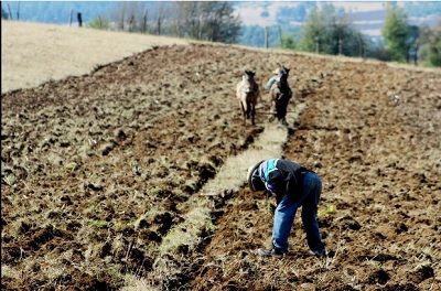 Proponen campesinos crear una Comisión Nacional del Suelo